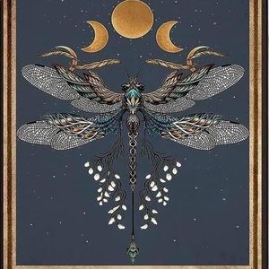 Meet your Posher, Kristi